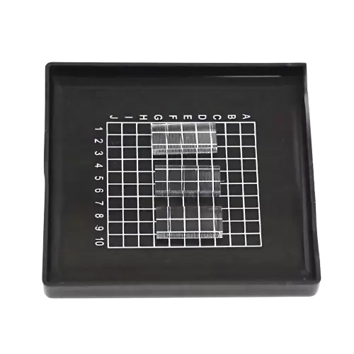 Массив микролинз