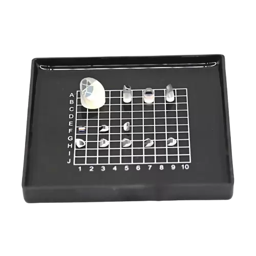 Микропризма